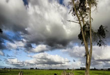 皇马强势挥洒实力，C罗梅开二度引领胜利之路