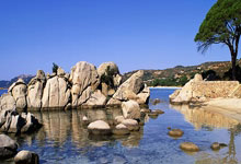 佛罗伦萨遭遇连败，陷入保级泥潭